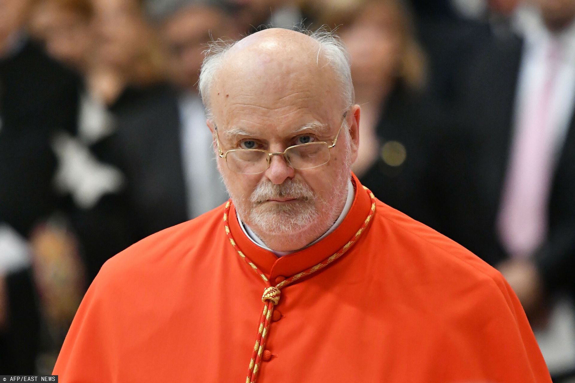 Nowy papież z Afryki lub Azji? Kard. Arborelius: rosną szanse