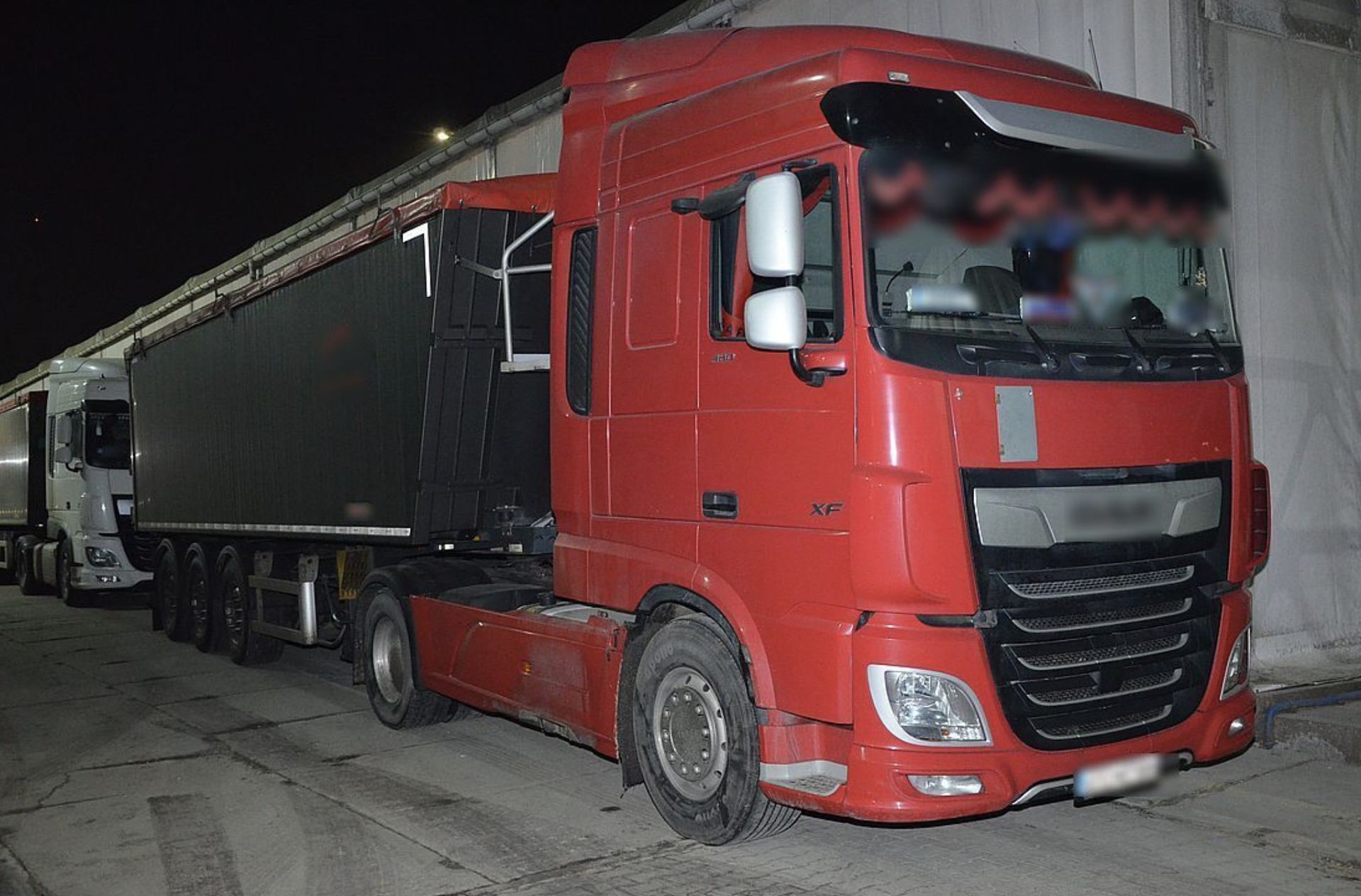 Żywe szkodniki w pszenicy. Tak chcieli zarobić 20 tys. zł