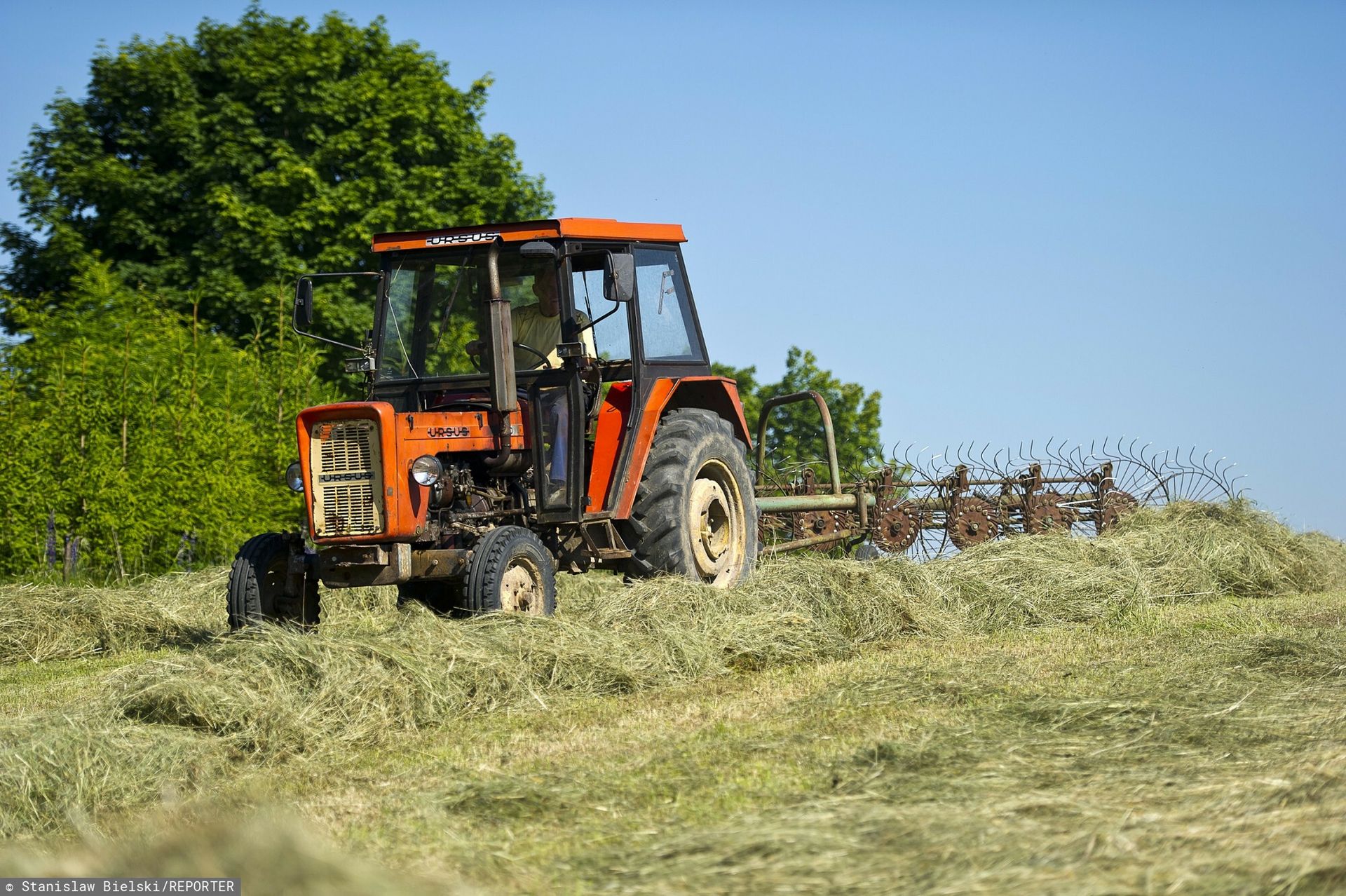 Liczą na wcześniejszą emeryturę. KRUS mówi wprost