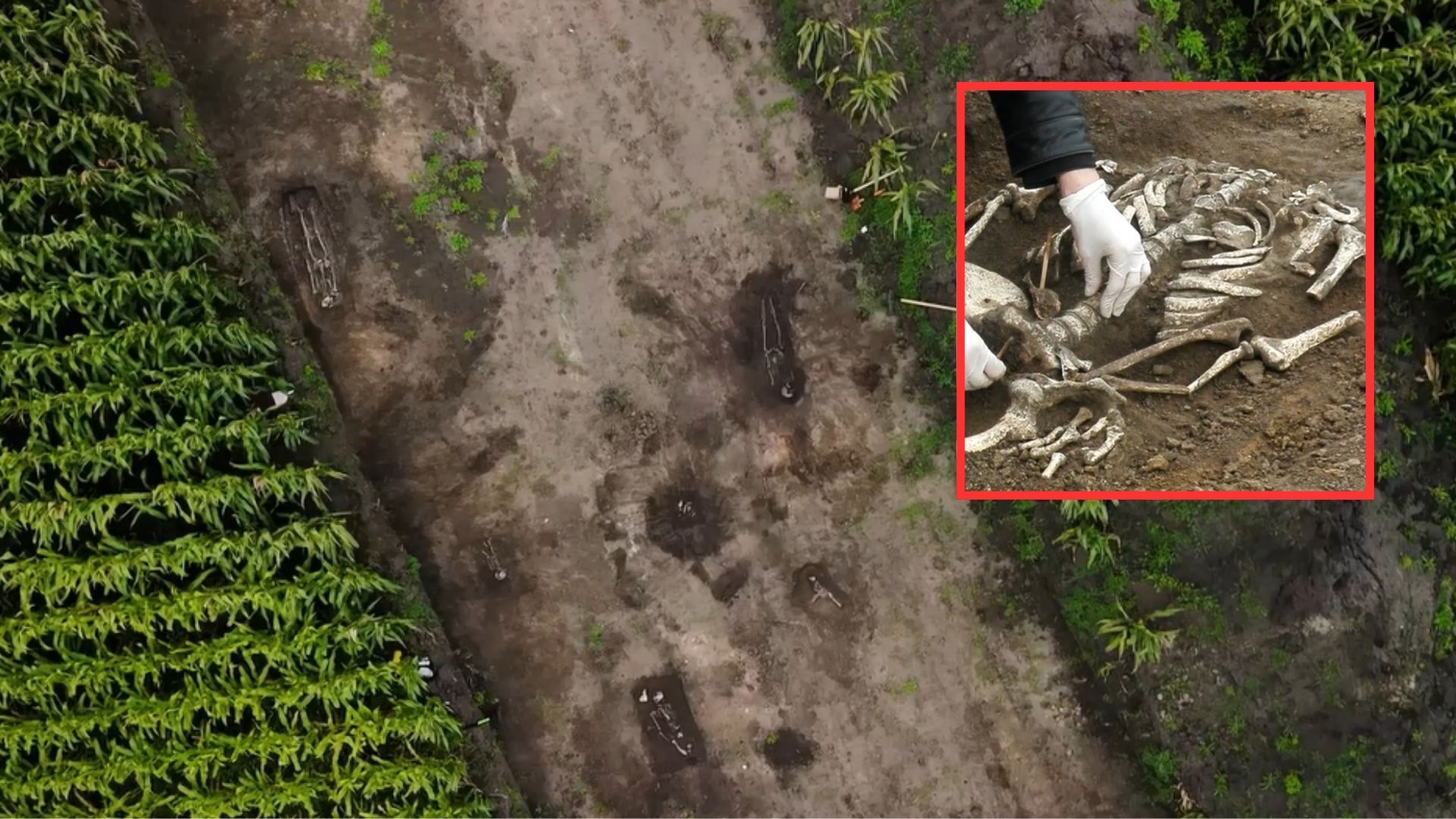 Niesamowite odkrycie. Nietypowe cmentarzysko obok Inowrocławia