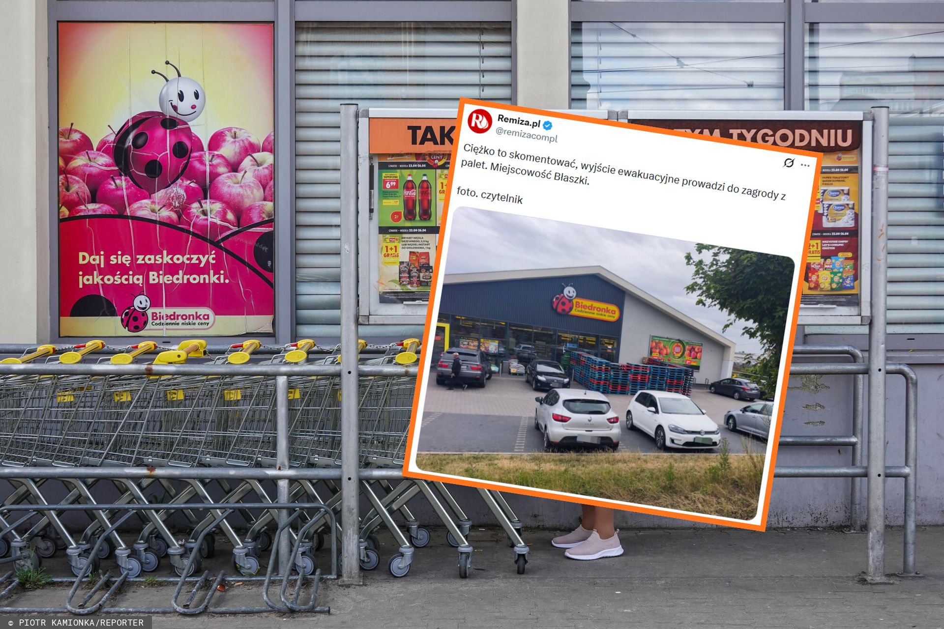 "Bangladesz w Polsce". Zagroda z palet pod sklepem Biedronki
