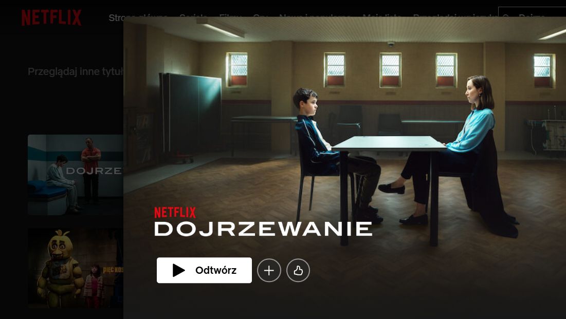 Amerykańskie media wskazały najlepsze seriale 2025 roku w streamingu