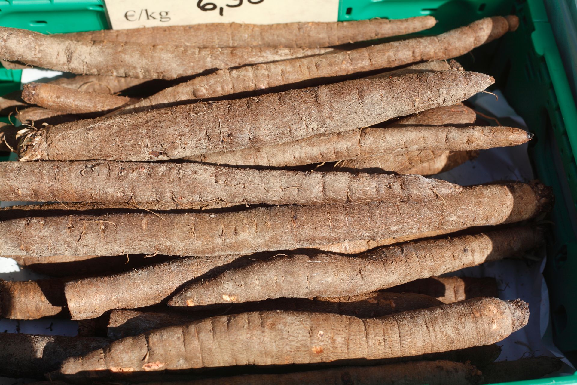 Prababki gotowały ten korzeń częściej niż ziemniaki, dziś trudno znaleźć w sklepie. Czyści jelita jak najlepszy odkurzacz