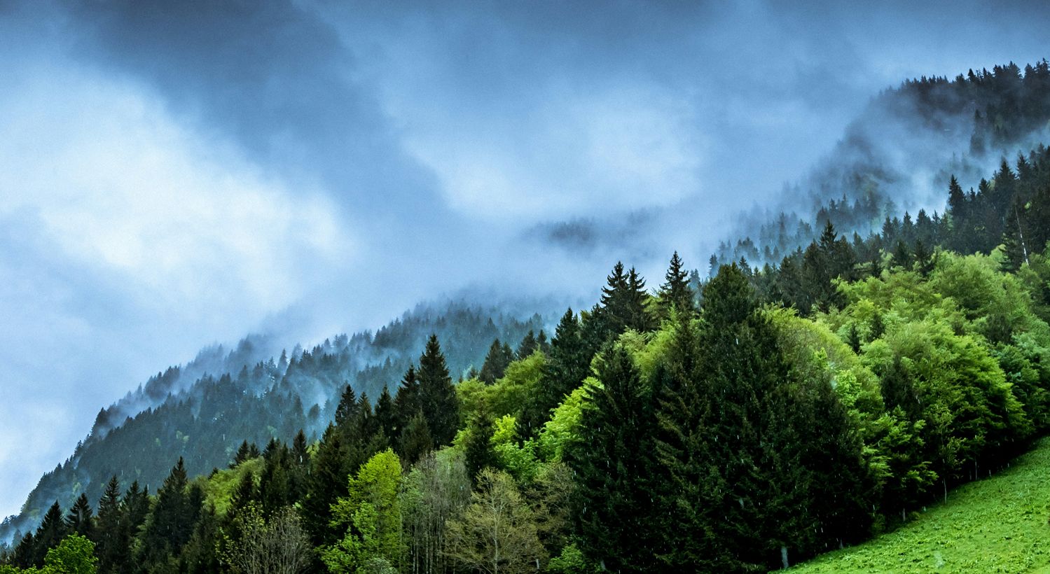 Ministerstwo walczy z dezinformacją o klimacie i energii. Seria warsztatów