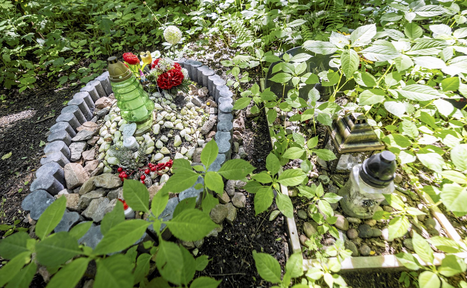 Nielegalny cmentarz w Sosnowcu. Grzebią i narażają się na grzywny