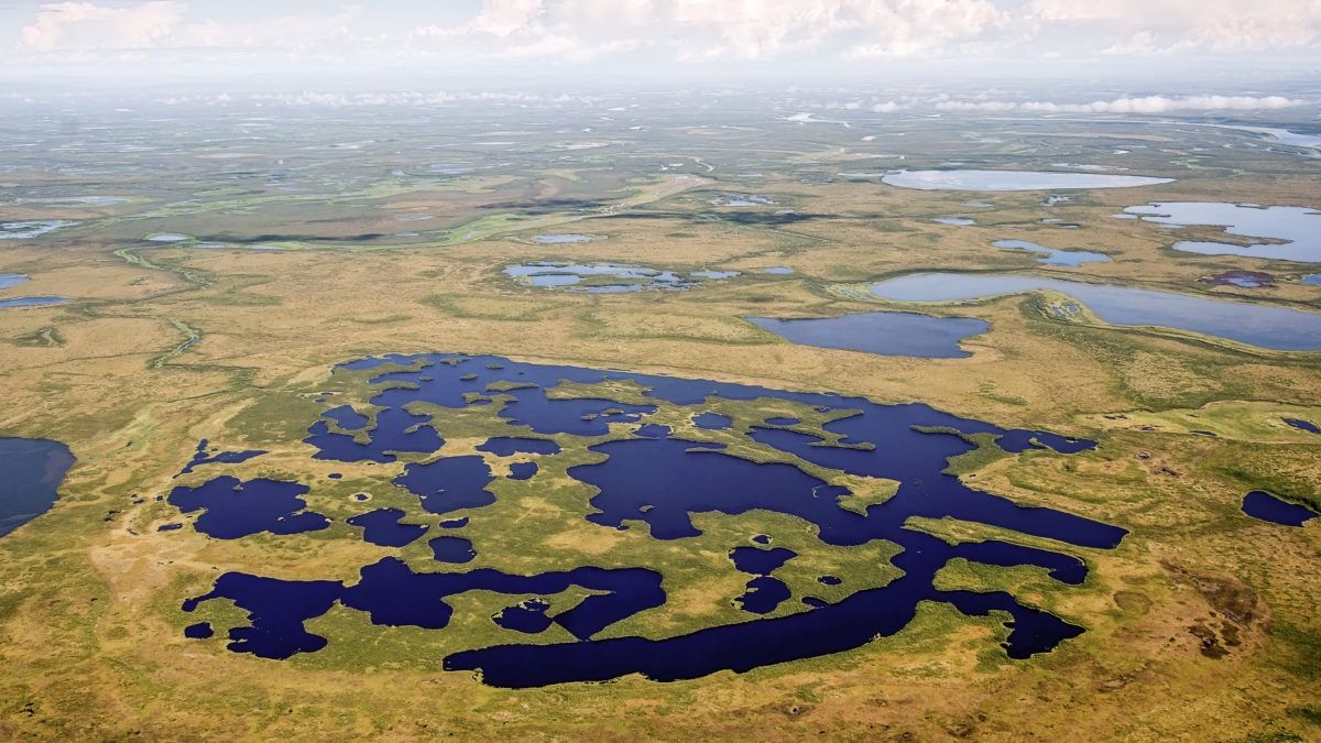 Największa tundra świata może zniknąć. Naukowcy wskazują datę
