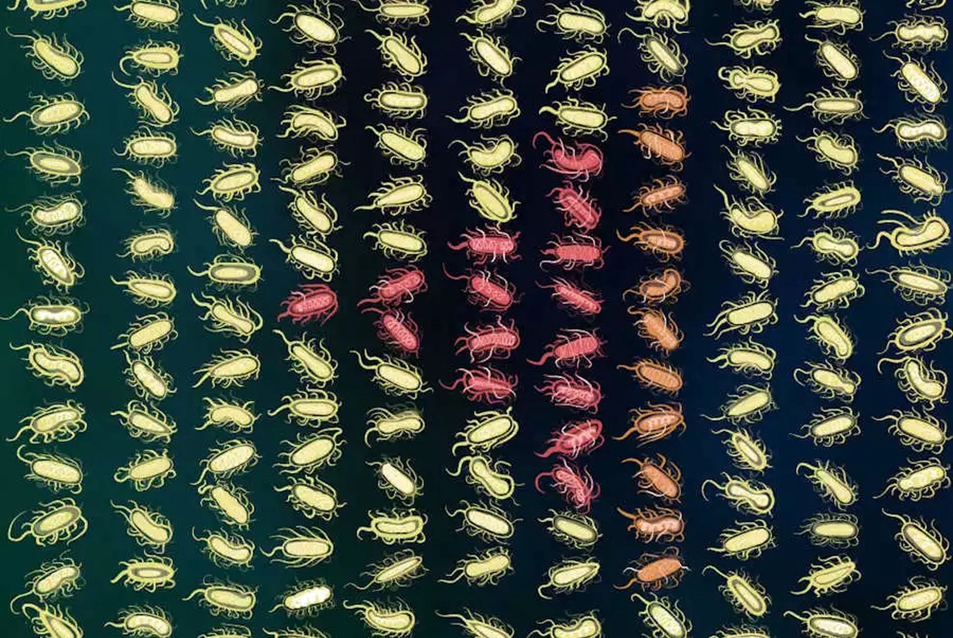 Dżuma i inne choroby. To naukowcy wyczytali z naszego DNA