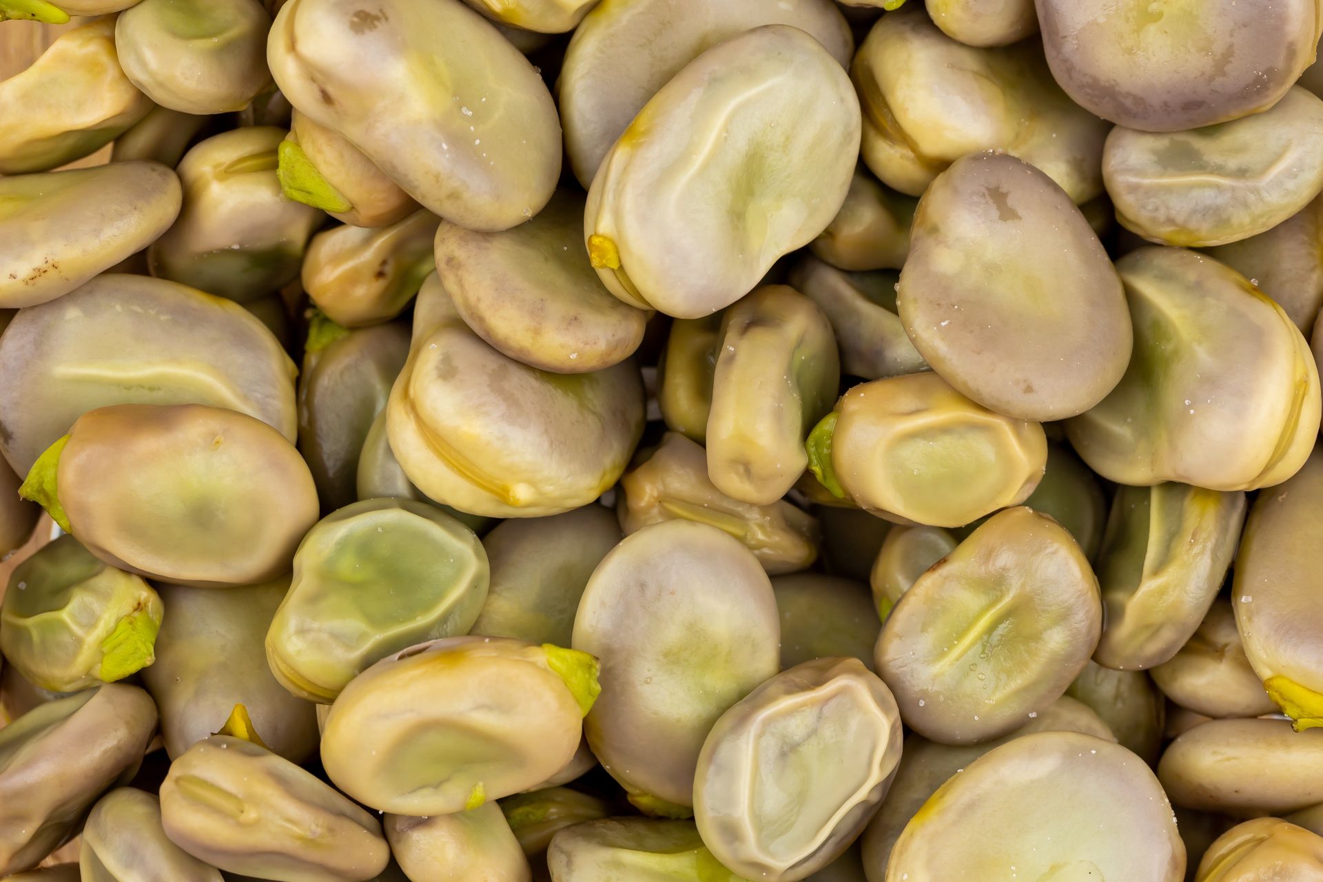 Wielu Polaków wyrzuca. Tak co roku marnują okazję na poprawę pracy jelit