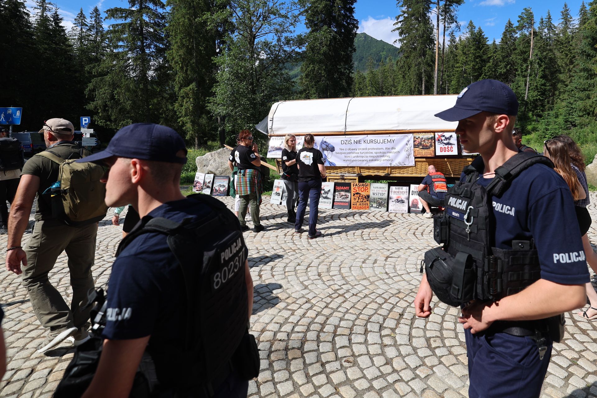 Protest w drodze na Morskie Oko. TPN zabiera głos