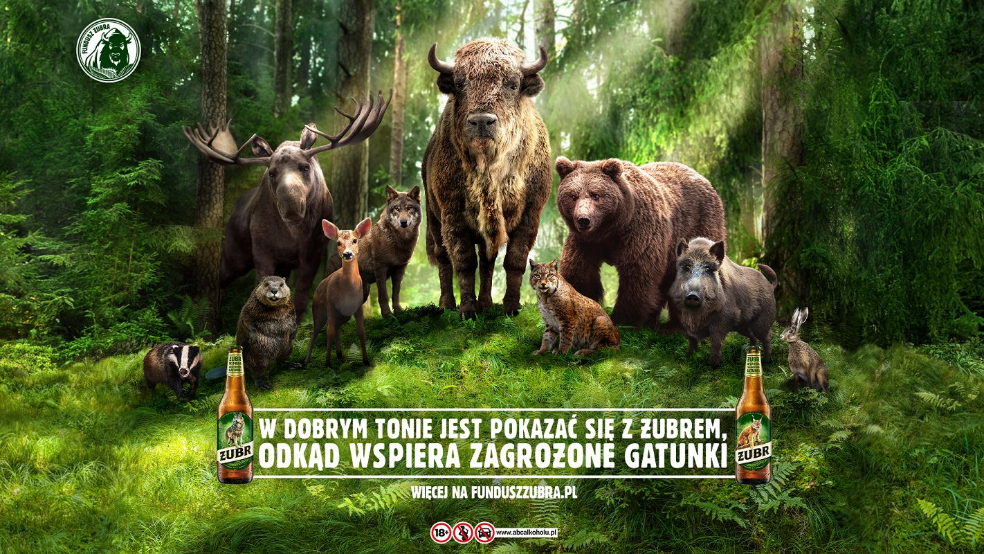 Żubr w nowej kampanii wspiera zagrożone gatunki