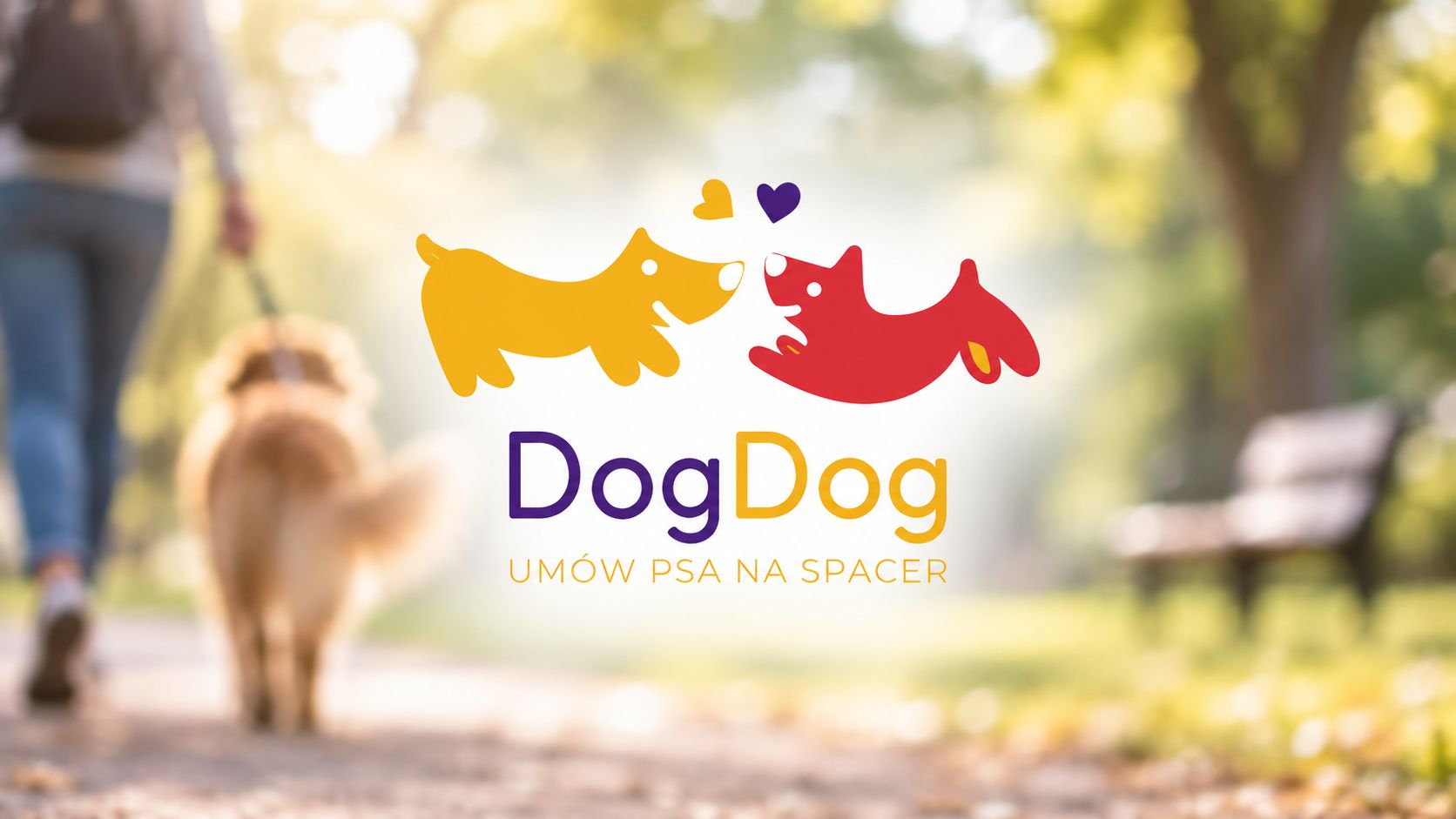 DogDog - aplikacja dla wszystkich właściciela psa