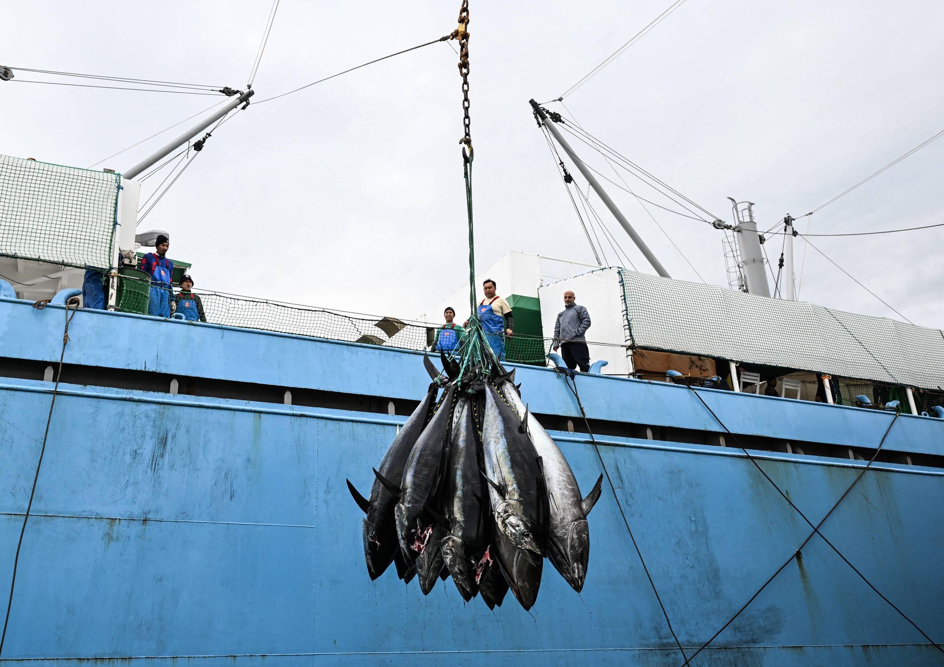 Działo się w nocy. Trump pozwolił łowić tuńczyka w morskim rezerwacie