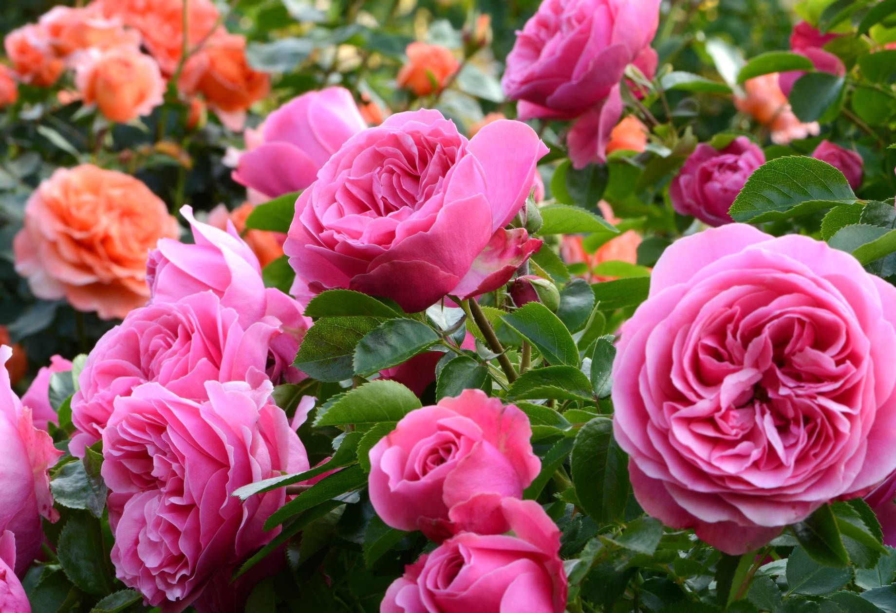 Nie zapomnij o tym zabiegu w marcu. Efekty będą niesamowite