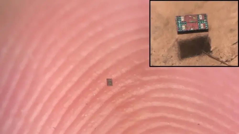 Mikroroboty mniejsze od ziarenka soli. Zaskakują nie tylko rozmiarem