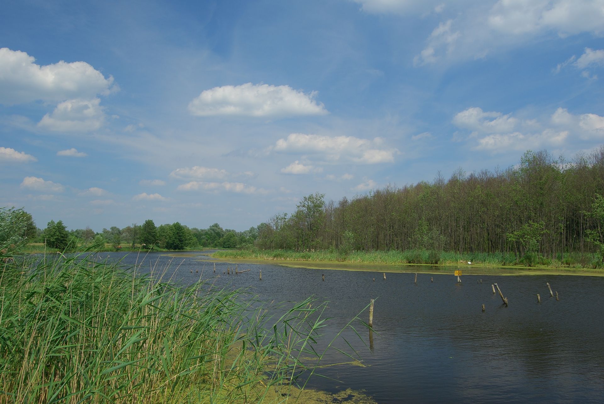 Wyniki wyborów prezydenckich 2025 w Orchówku pod Włodawą. Kto wygrał w miejscowości blisko Ukrainy i Białorusi?