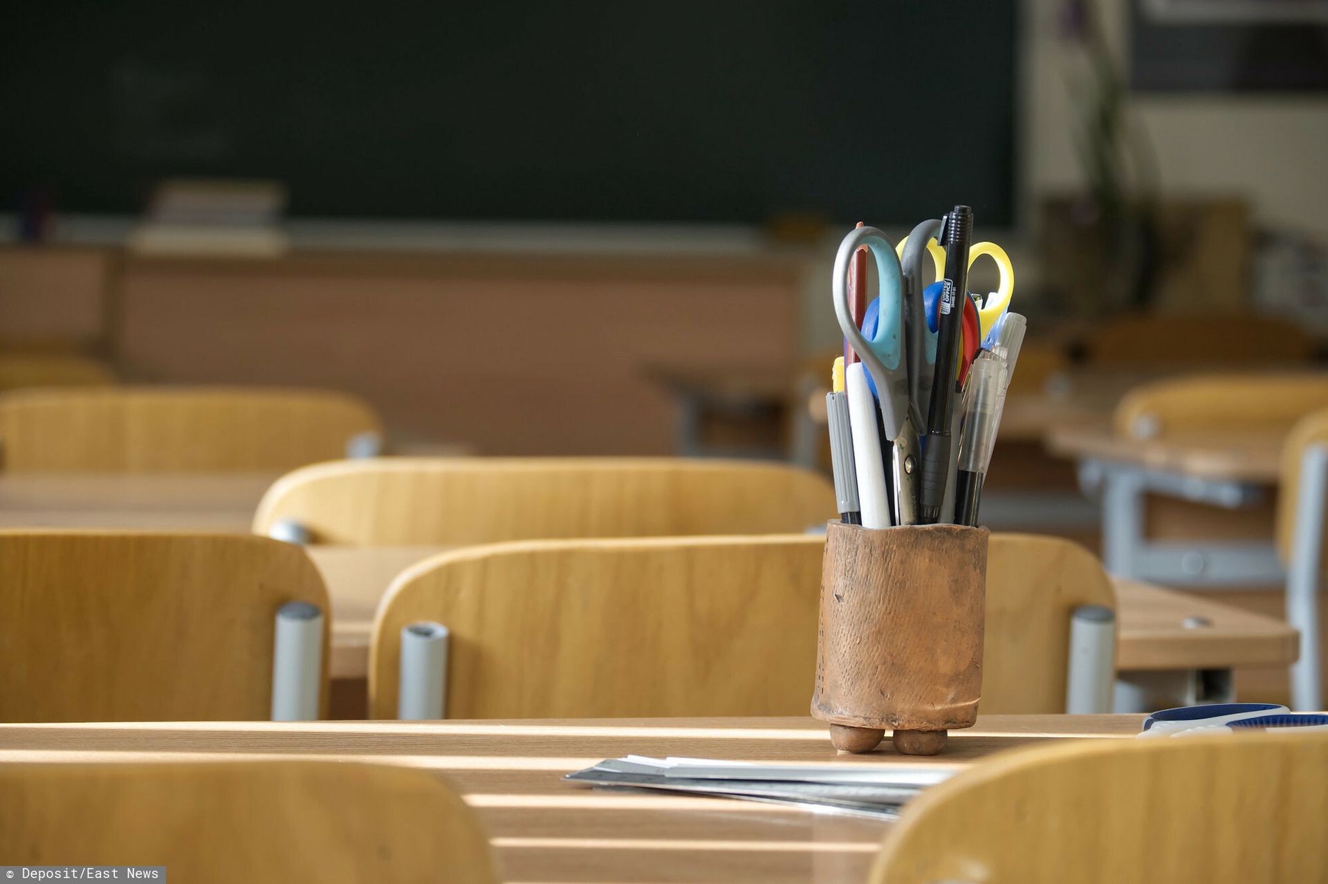 Pluskwy w szkole w Warszawie. Trzeba odwołać zajęcia