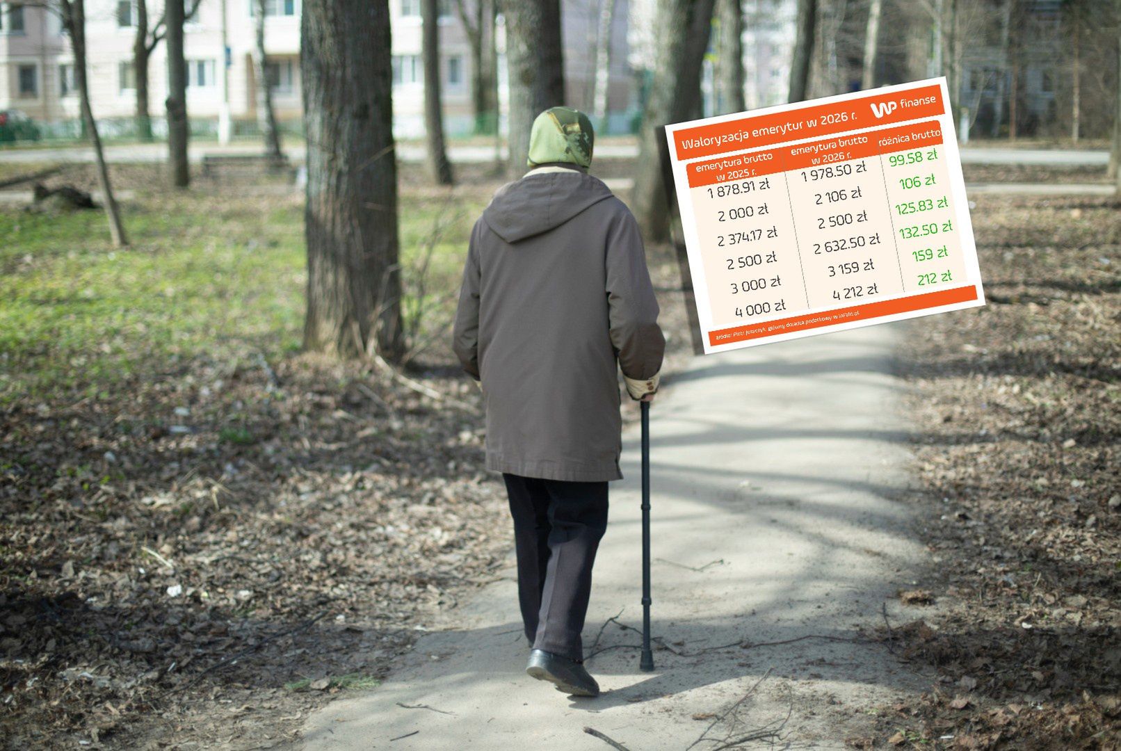 Wszystko jasne. O tyle wzrosną emerytury od marca. Tabela brutto-netto