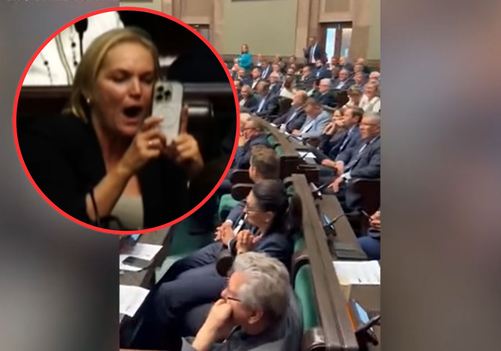 PiS dystansuje się od "szczekającej posłanki", ale kary dla Chorosińskiej na razie nie będzie