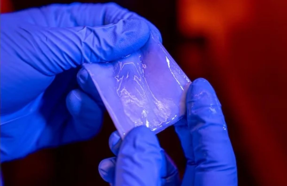 Plastik z bakterii. Może zrewolucjonizować tradycyjne tworzywa