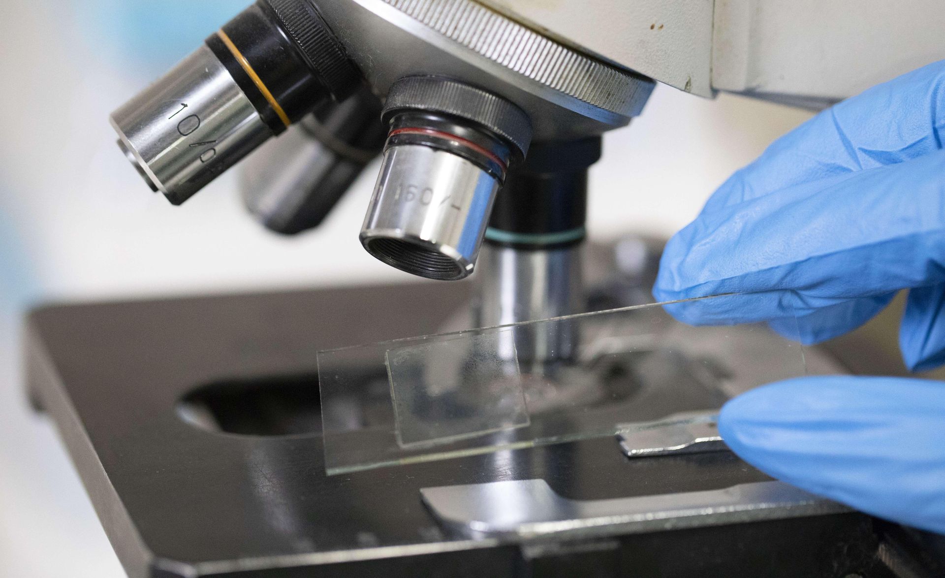 Odkryto najmniejsze bateryjne genomy. Dokonanie polskich naukowców