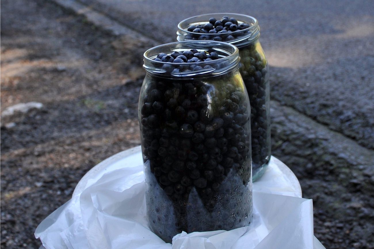 Są już pierwsze jagody leśne. Oto ile kosztują