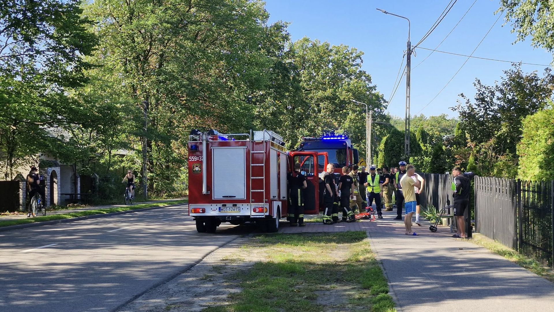 Nietypowy wypadek w Celestynowie. Kolarze zderzyli się z dzikami