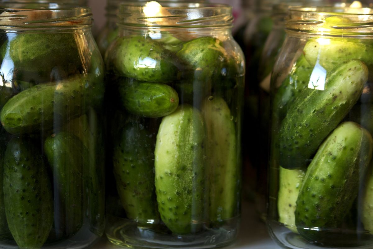 Nim włożę czosnek do ogórków, robię 1 rzecz. Małosolne są pełne smaku i nie psują się