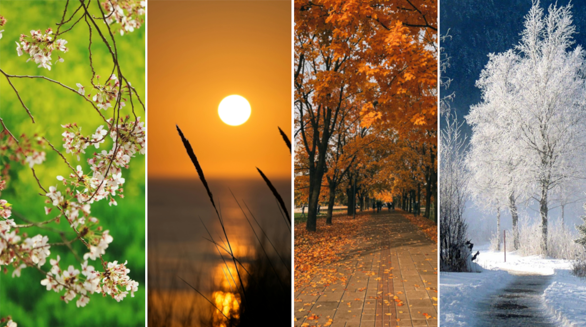 Pory roku na Ziemi zaskakują. Zupełnie inne w bliskich sobie miejscach