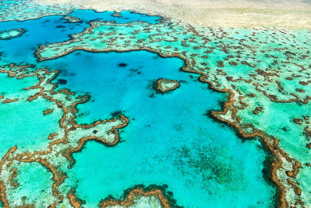 Mogą przestać istnieć. Czy rafy koralowe przetrwają XXI wiek?