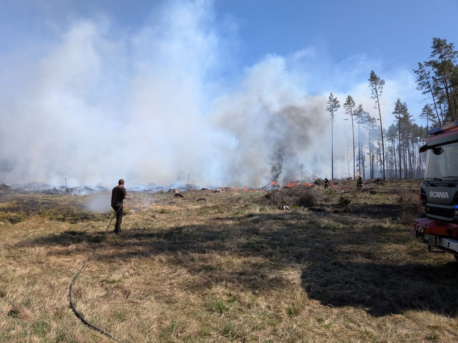 Wielki pożar lasu. W akcji samolot i helikopter