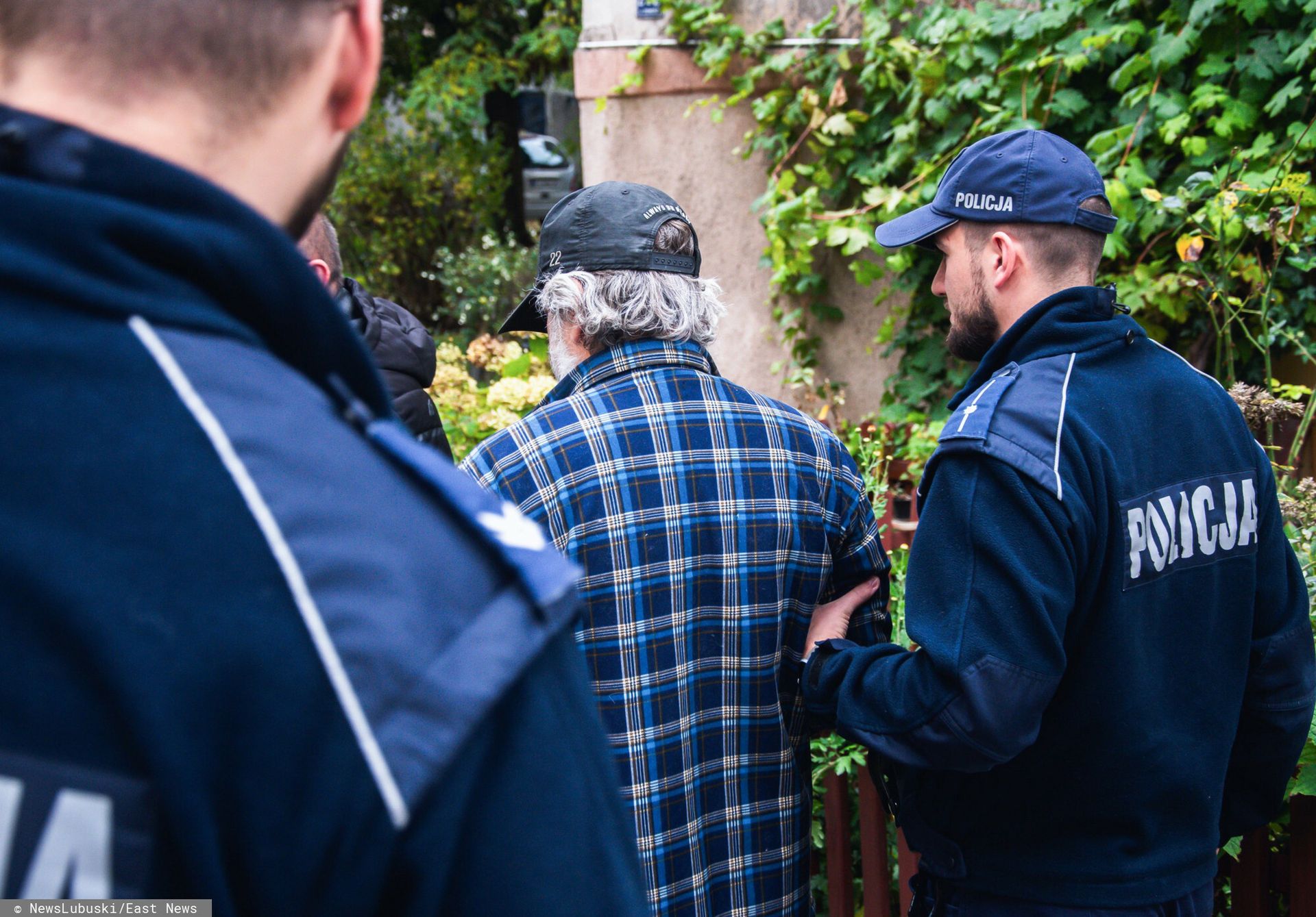 Atak psów pod Zieloną Górą. Nowe doniesienia o właścicielu