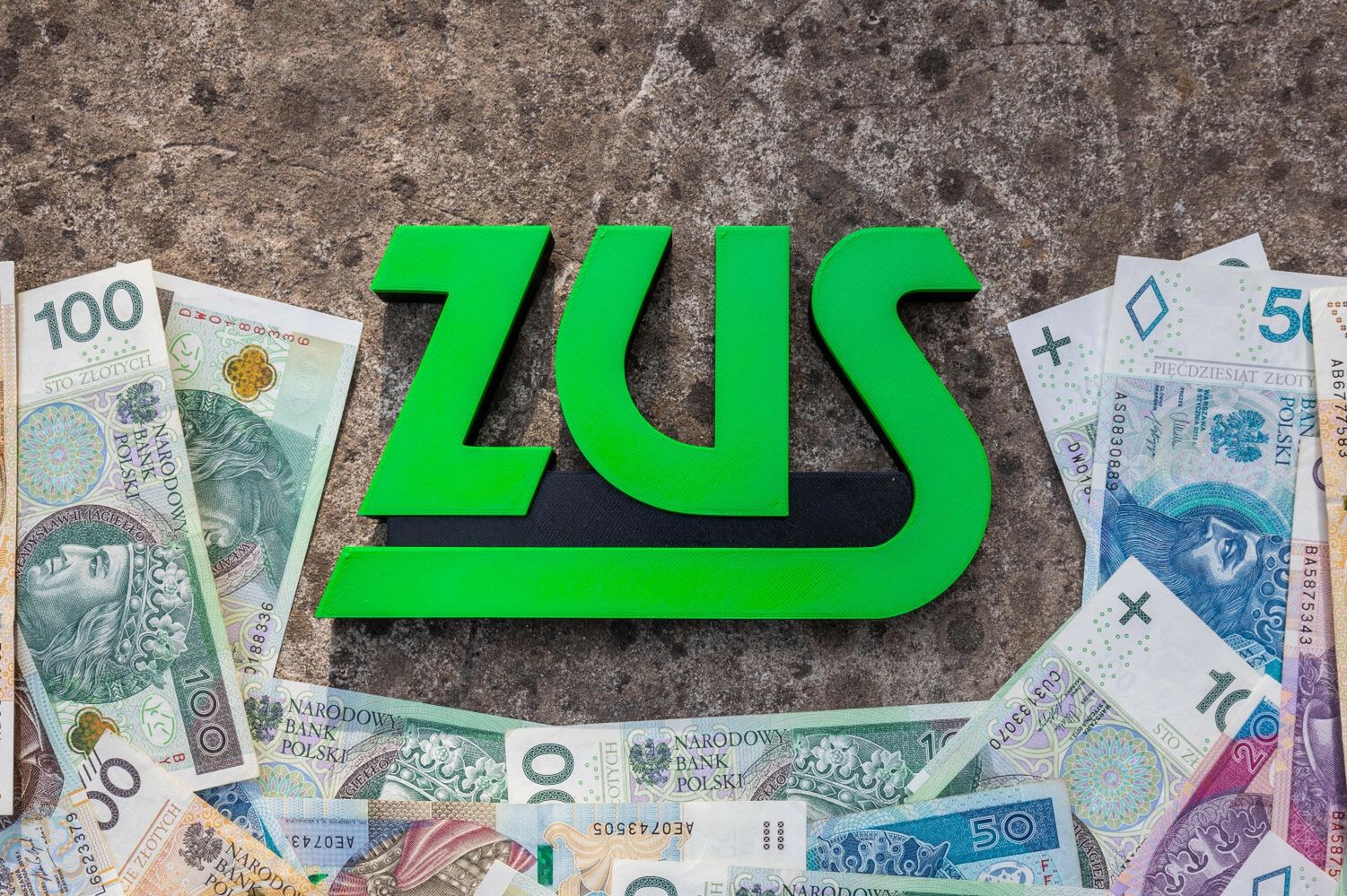 Nowa informacja w eZUS. Wystarczy się zalogować