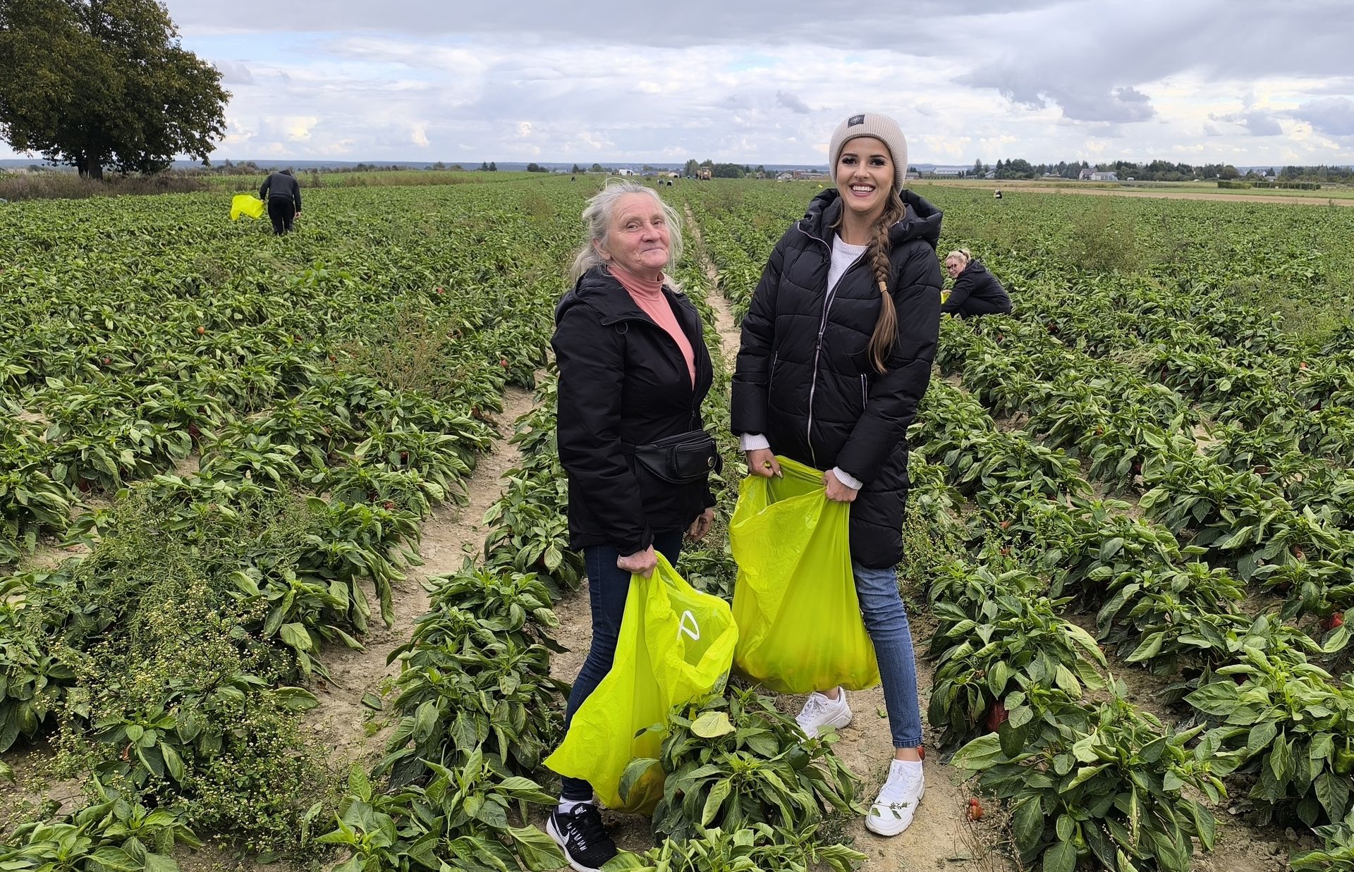 Zaczęło się cwaniakowanie przy samozbiorach. Markety też chcą towar za pół darmo