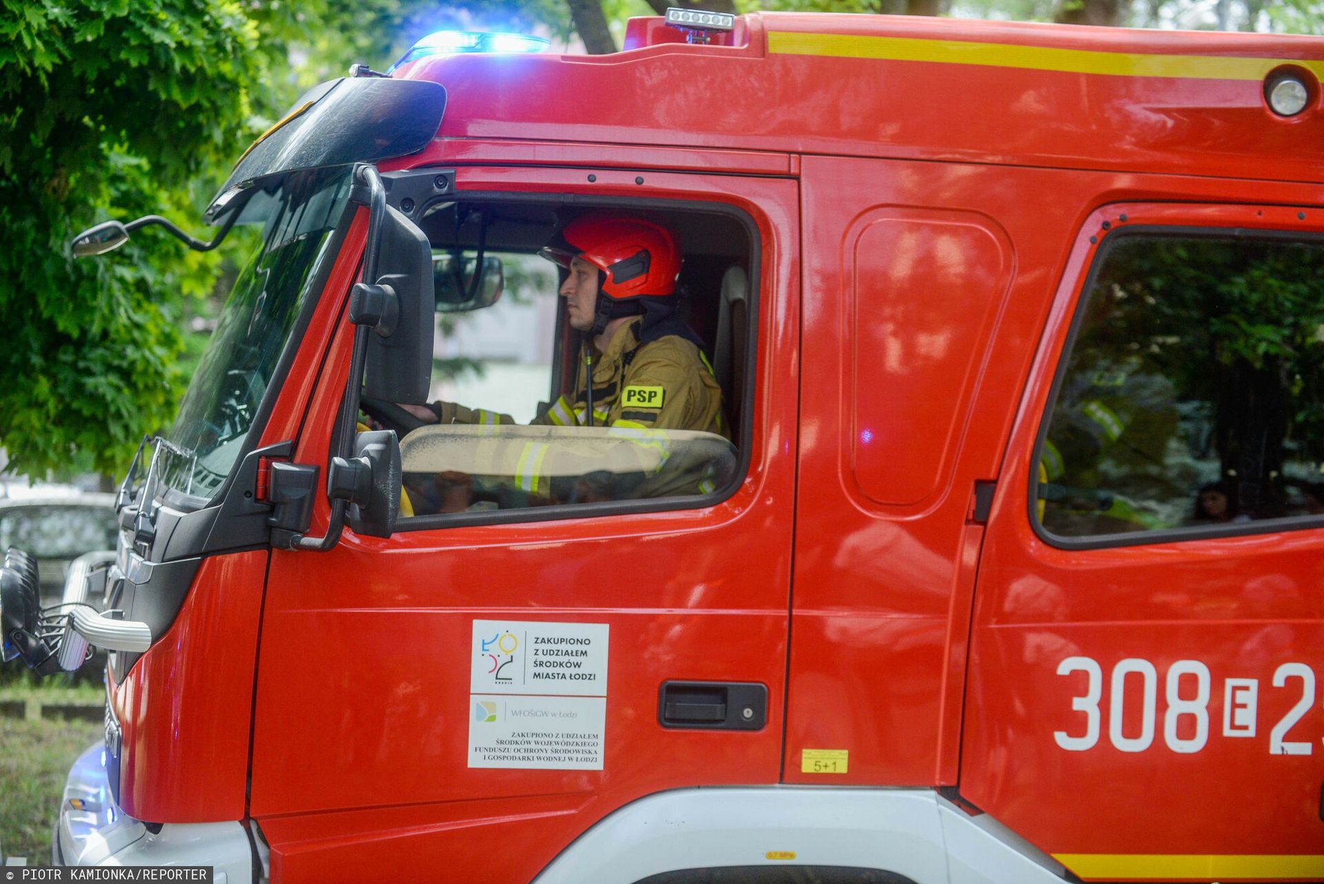 Niebezpieczny incydent w Wielkopolsce. Konar spadł na dzieci