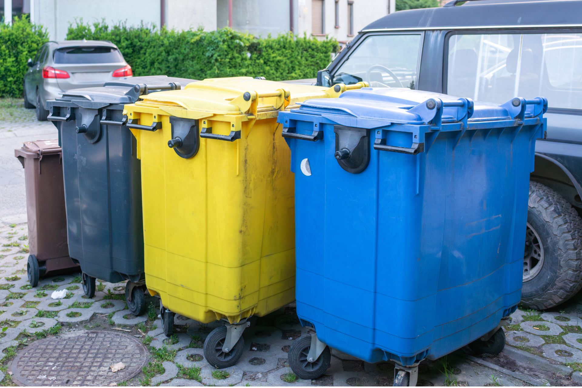 Seniorzy mogą nie płacić za wywóz śmieci. Mało kto wie o tej opcji