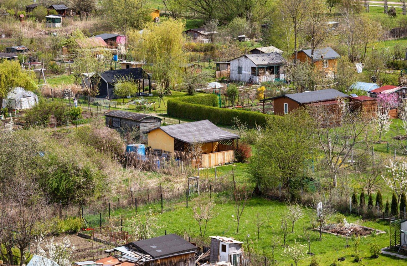 Chcą zlikwidować dwa ROD-y w Warszawie? "To jest granda"