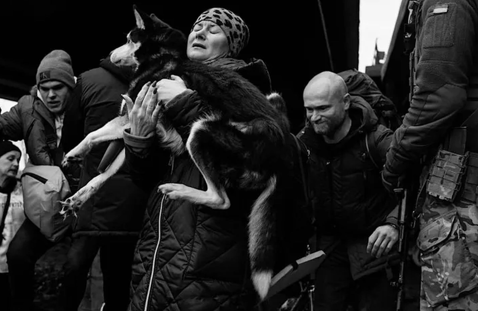 Pejzaż z krwawnikiem. Ci, którzy przeżyli, uczą się żyć na nowo