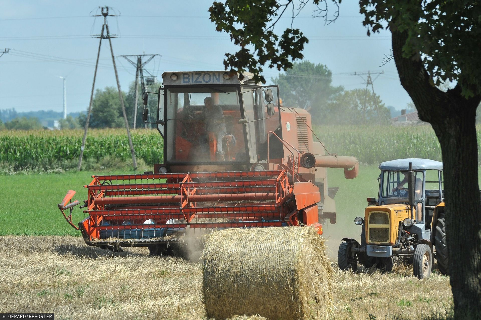 Miastowi na wsi. Mieszkańcy będą musieli być świadomi