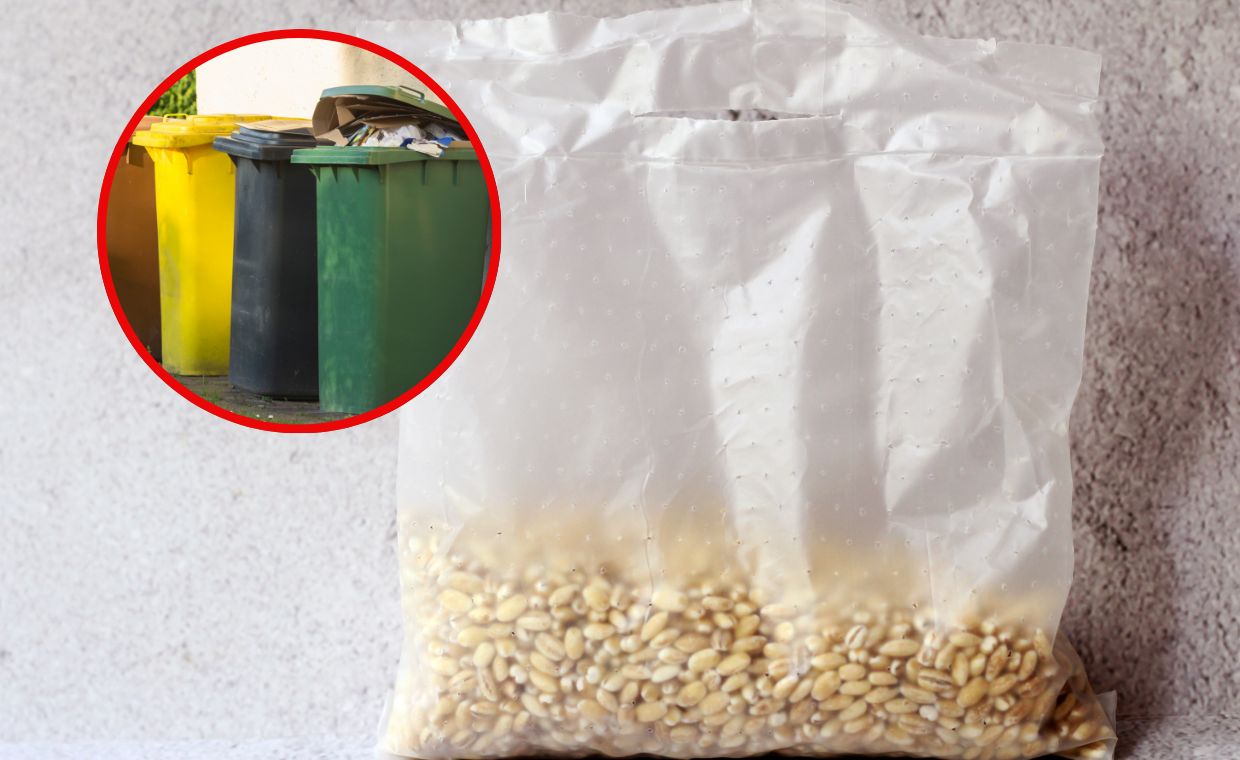 Wiele osób popełnia błąd. Gdzie wyrzucić woreczek po ugotowanym ryżu i kaszy?