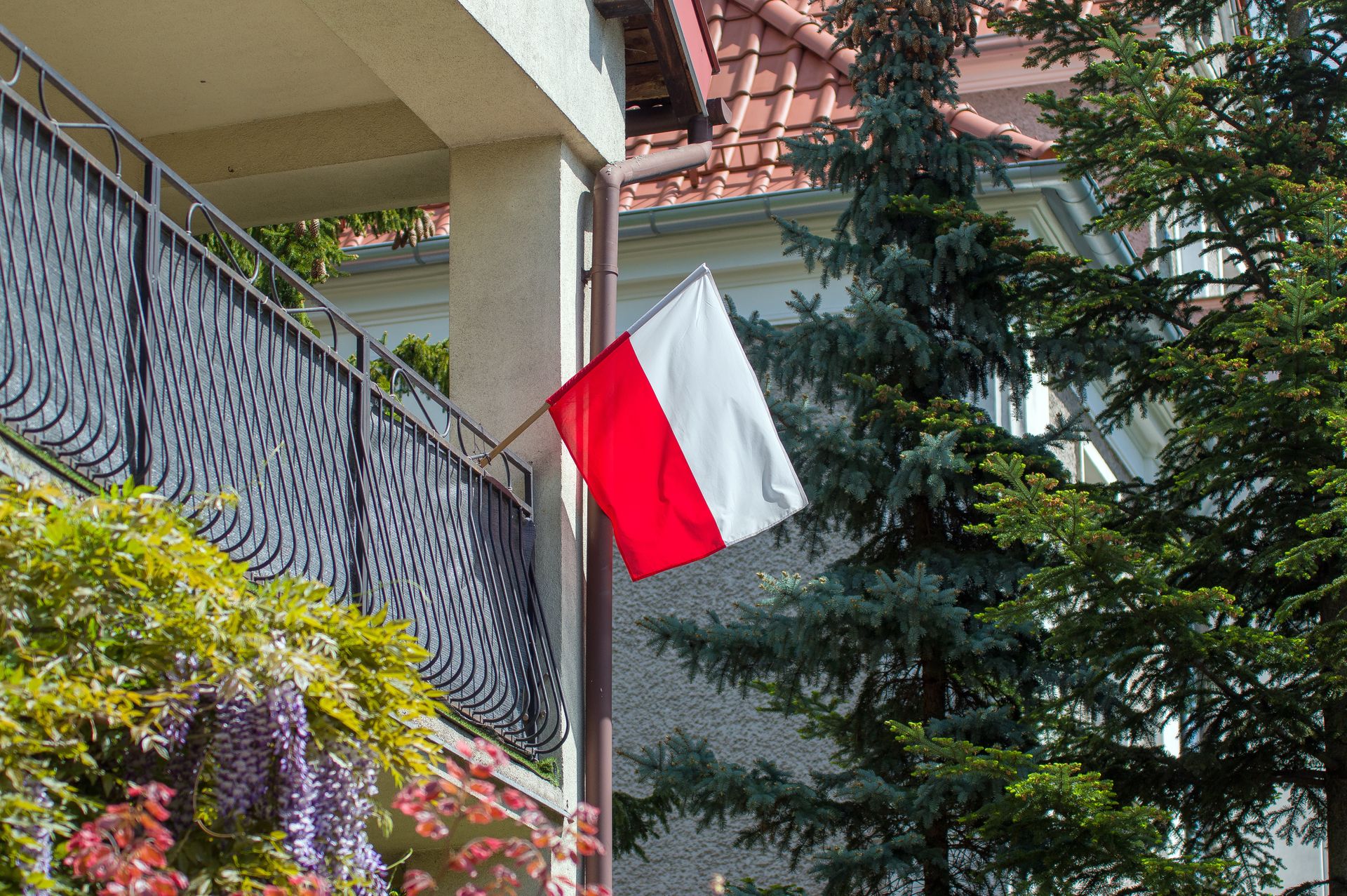 Jak sprawdzić dane w Centralnym Rejestrze Wyborców przed II turą wyborów prezydenckich 2025?