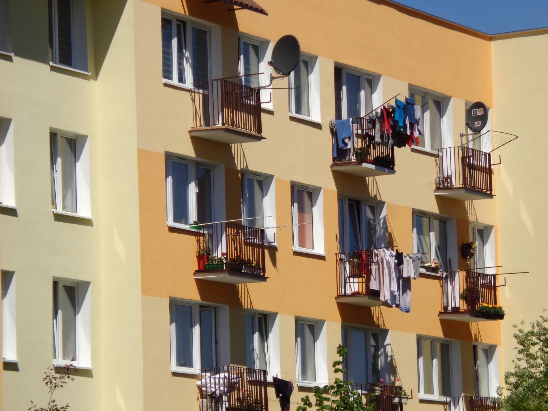 Bloki zamiast mokradeł? Jest decyzja urzędników