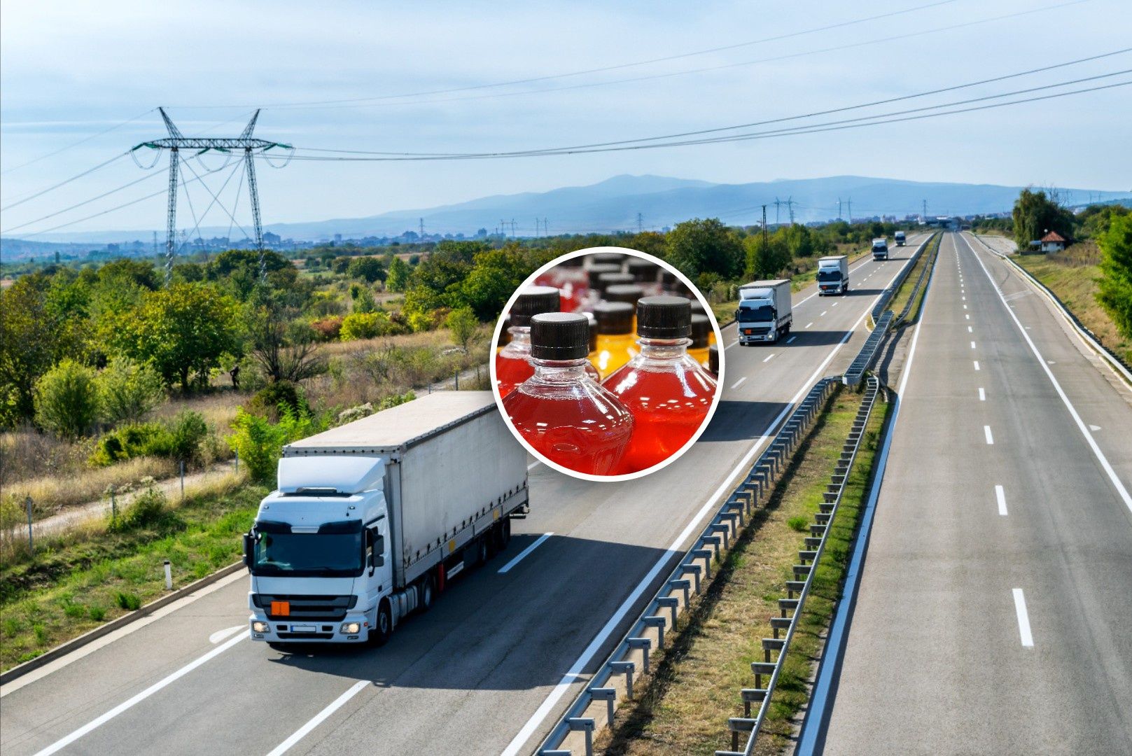 Transport z Korei Płd. zatrzymany. To miało trafić do sklepów w Polsce