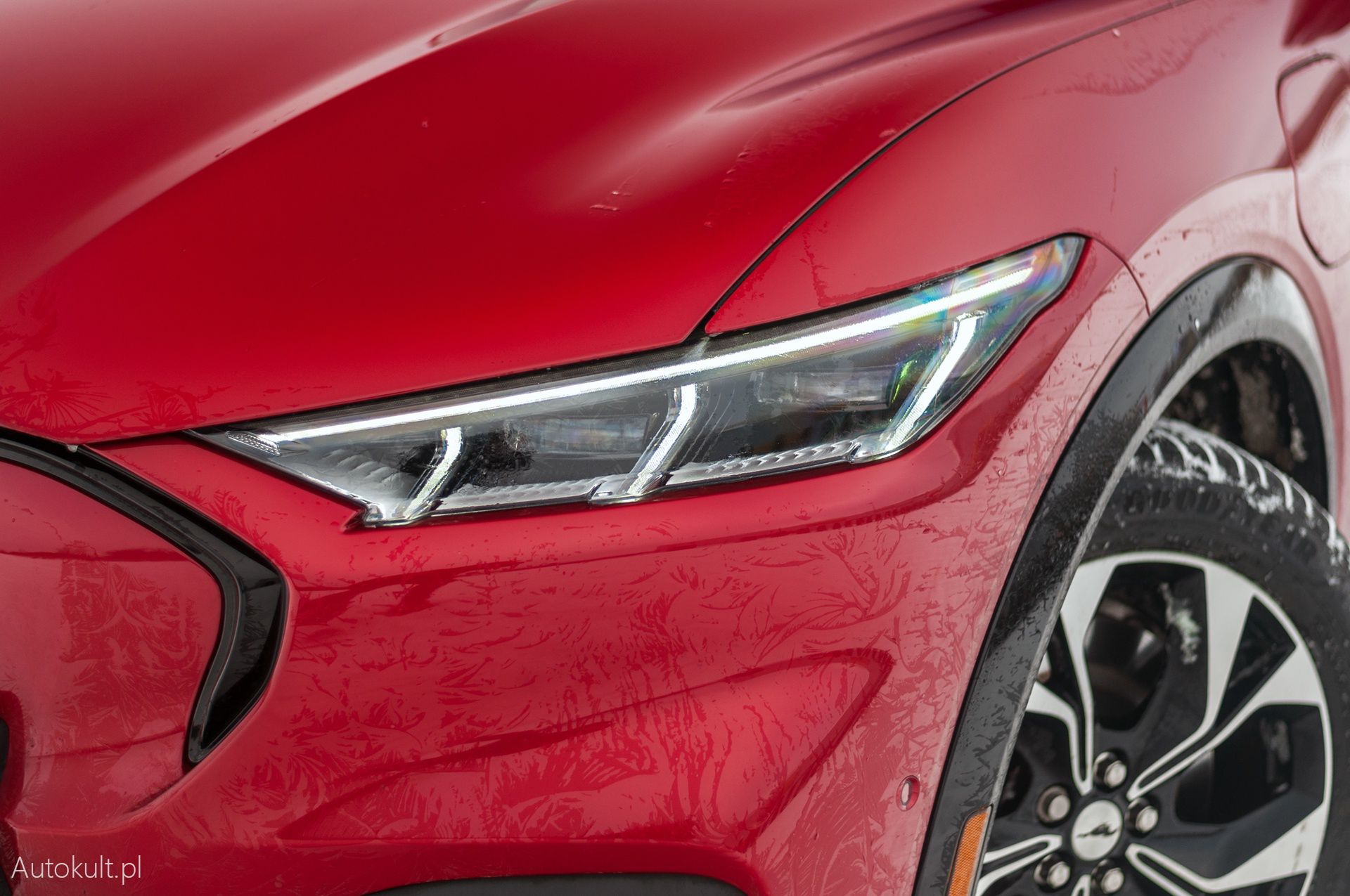 Mustang spalinowy vs elektryczny. Który sprzedaje się lepiej w USA?