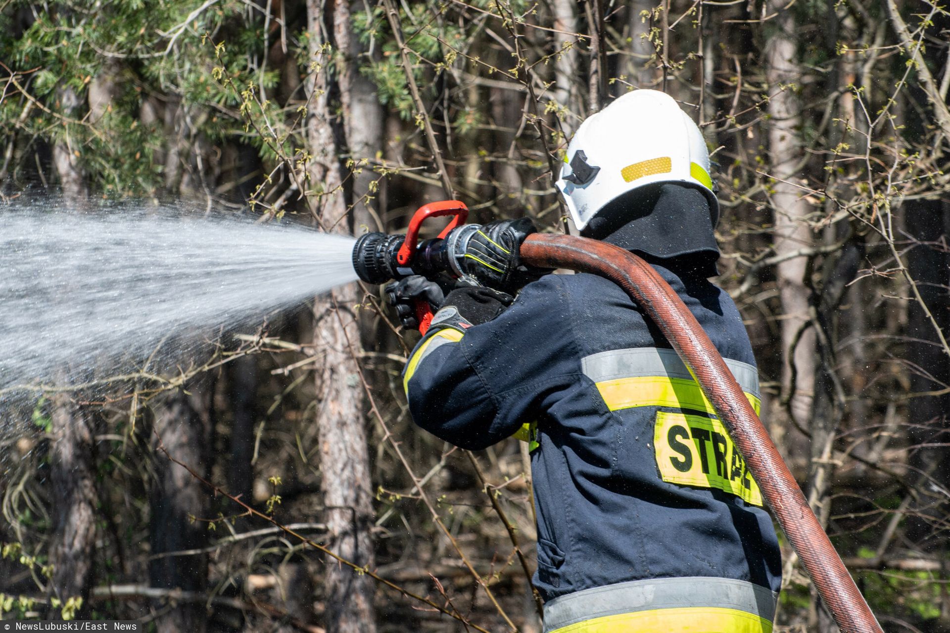 Duże zagrożenie pożarowe w lasach. Kolejne alerty RCB
