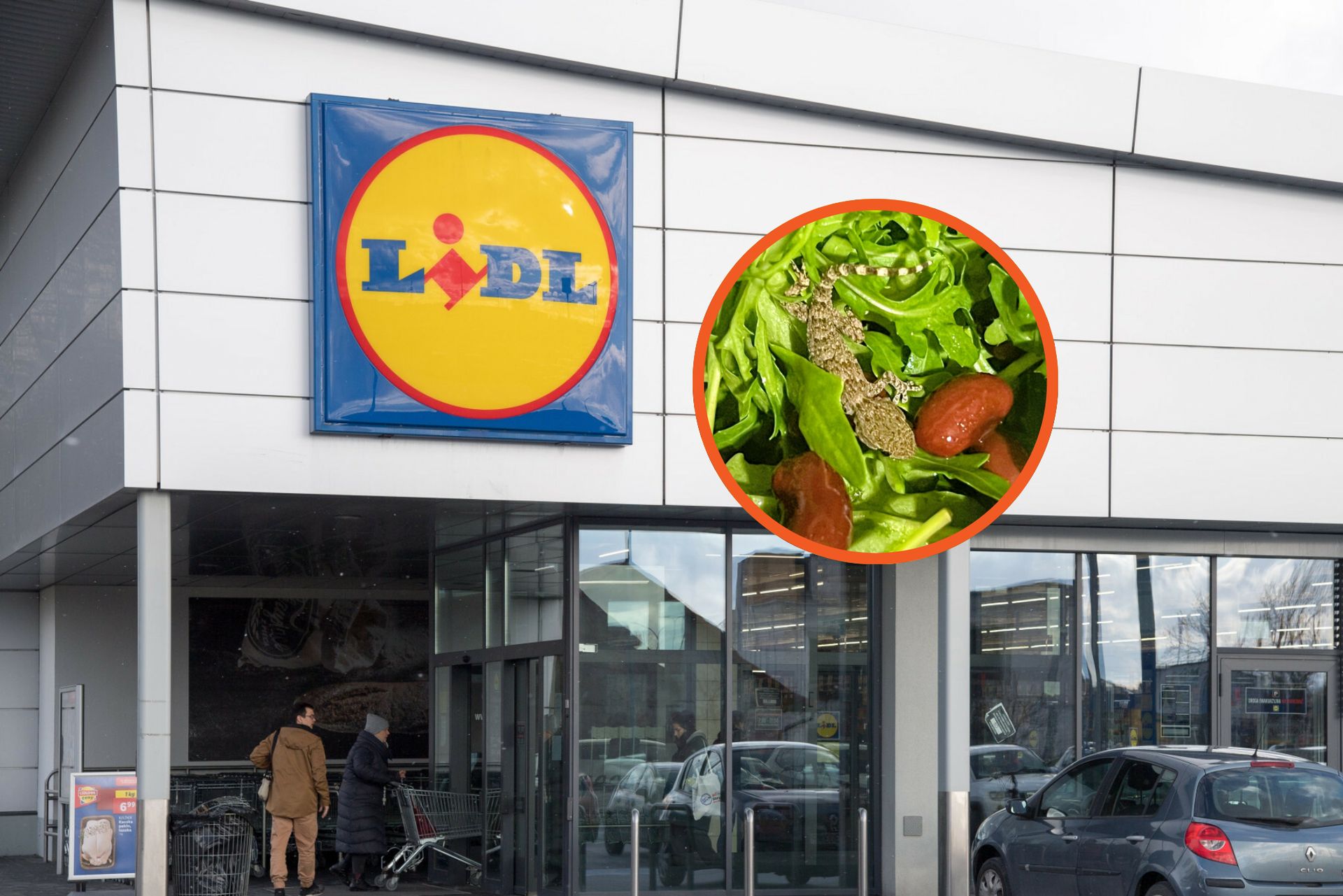 Nietypowe zakupy w Lidlu. Znalazła w rukoli egzotycznego drapieżnika