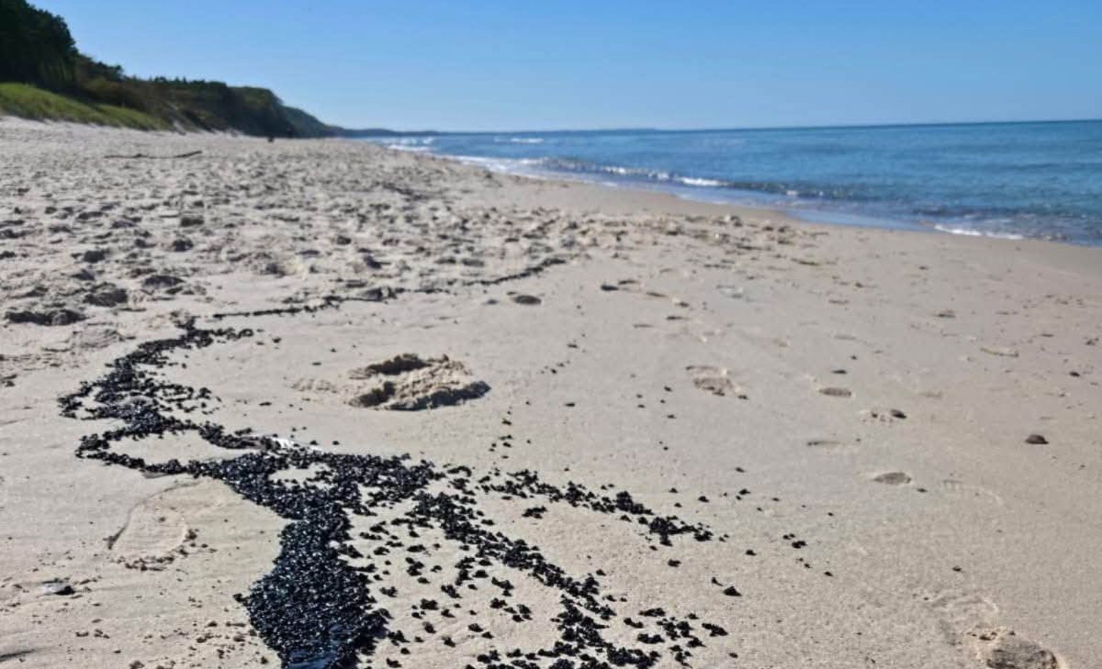 Bałtyk wyrzucił na brzeg coś dziwnego i czarnego. Służby badają próbki