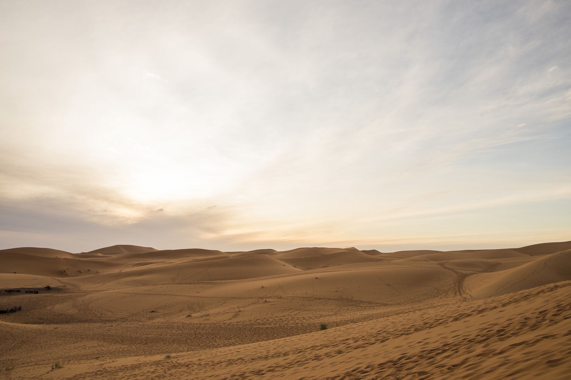 Tajemnicze mumie z Sahary. Nie dzielą DNA z ludźmi