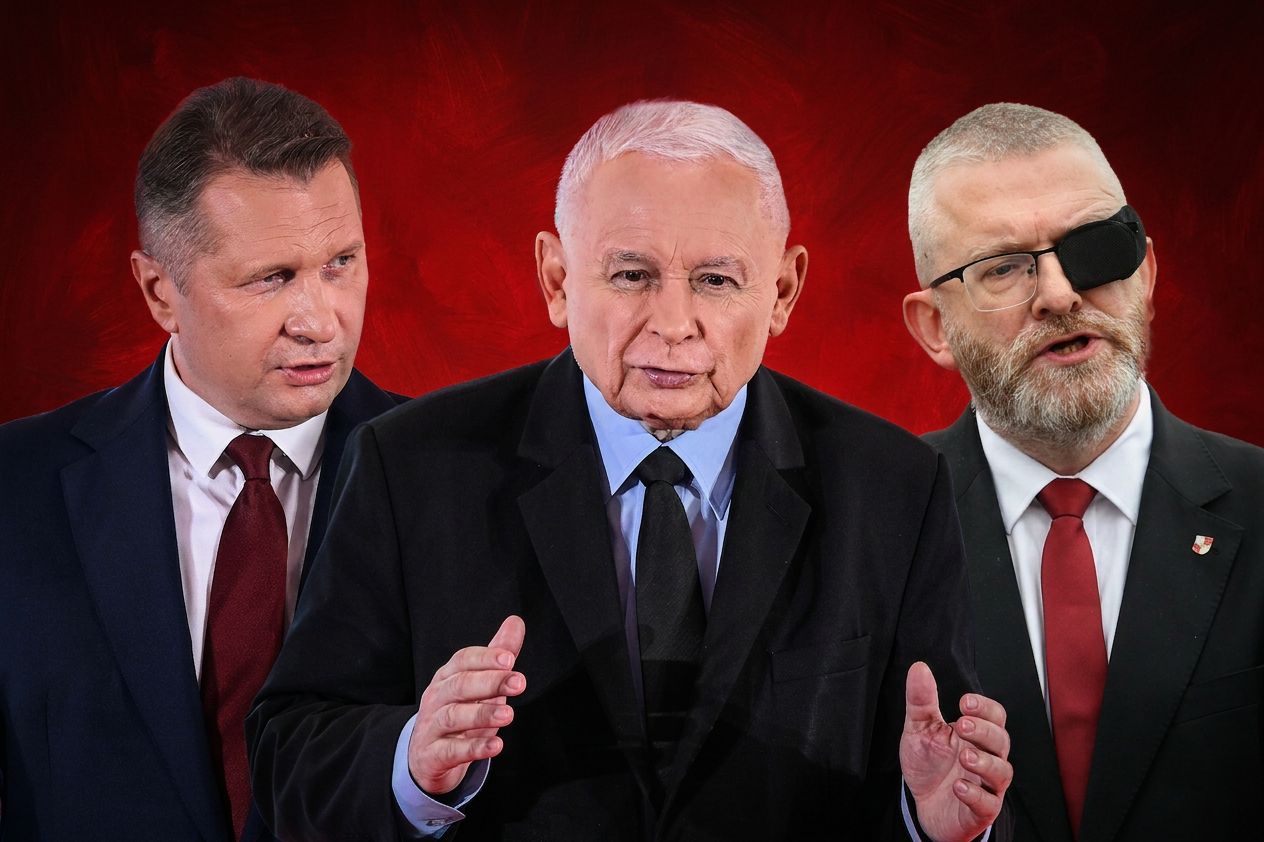 Braunizacja PiS [OPINIA]