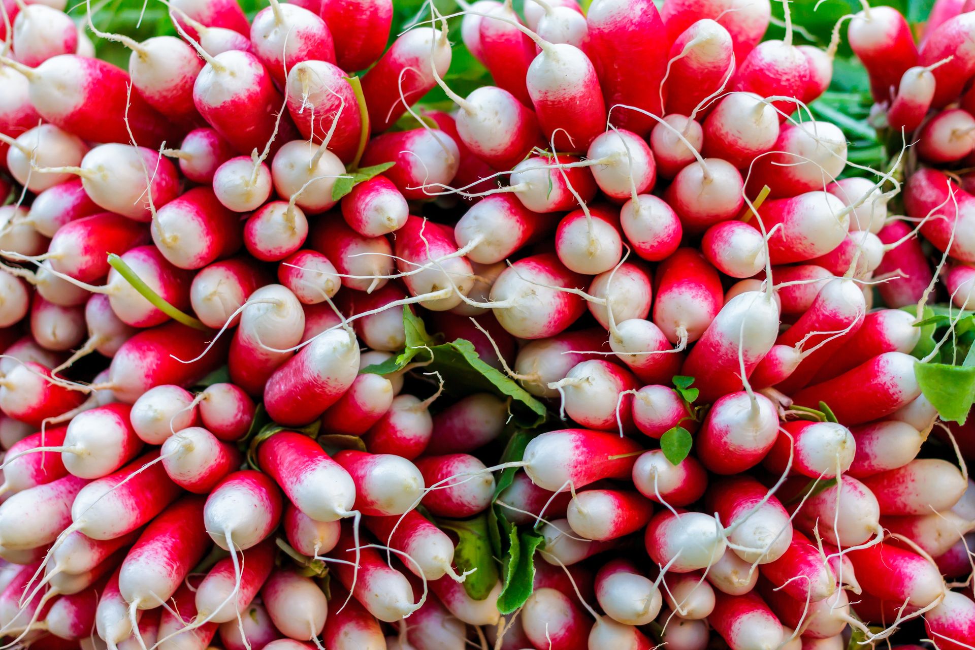 Wielu je bez zastanowienia. A to jedno z najmocniejszych warzyw wiosny