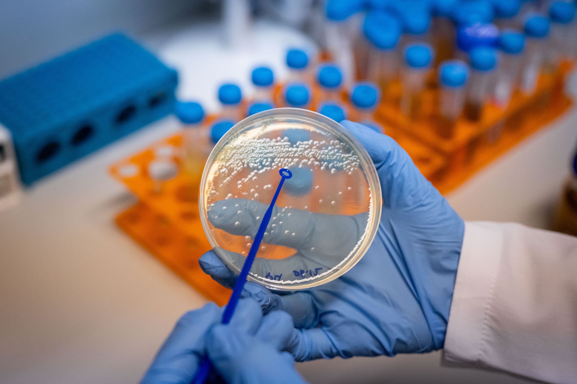 Powstał nowy wirus. Nie stworzył go człowiek